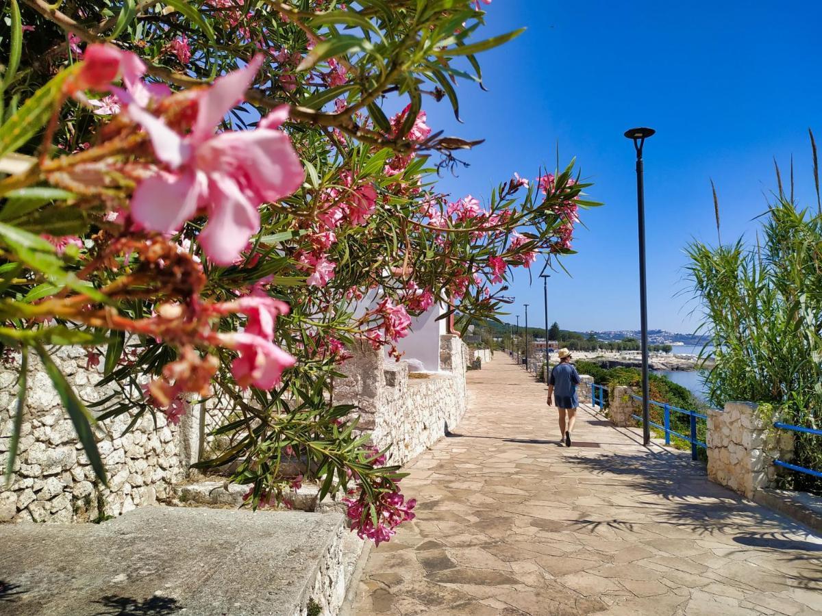 Marina Di Andrano - Alisso, Casa Vista Mare Con Parcheggio Privato E Wifi Villa Exteriör bild