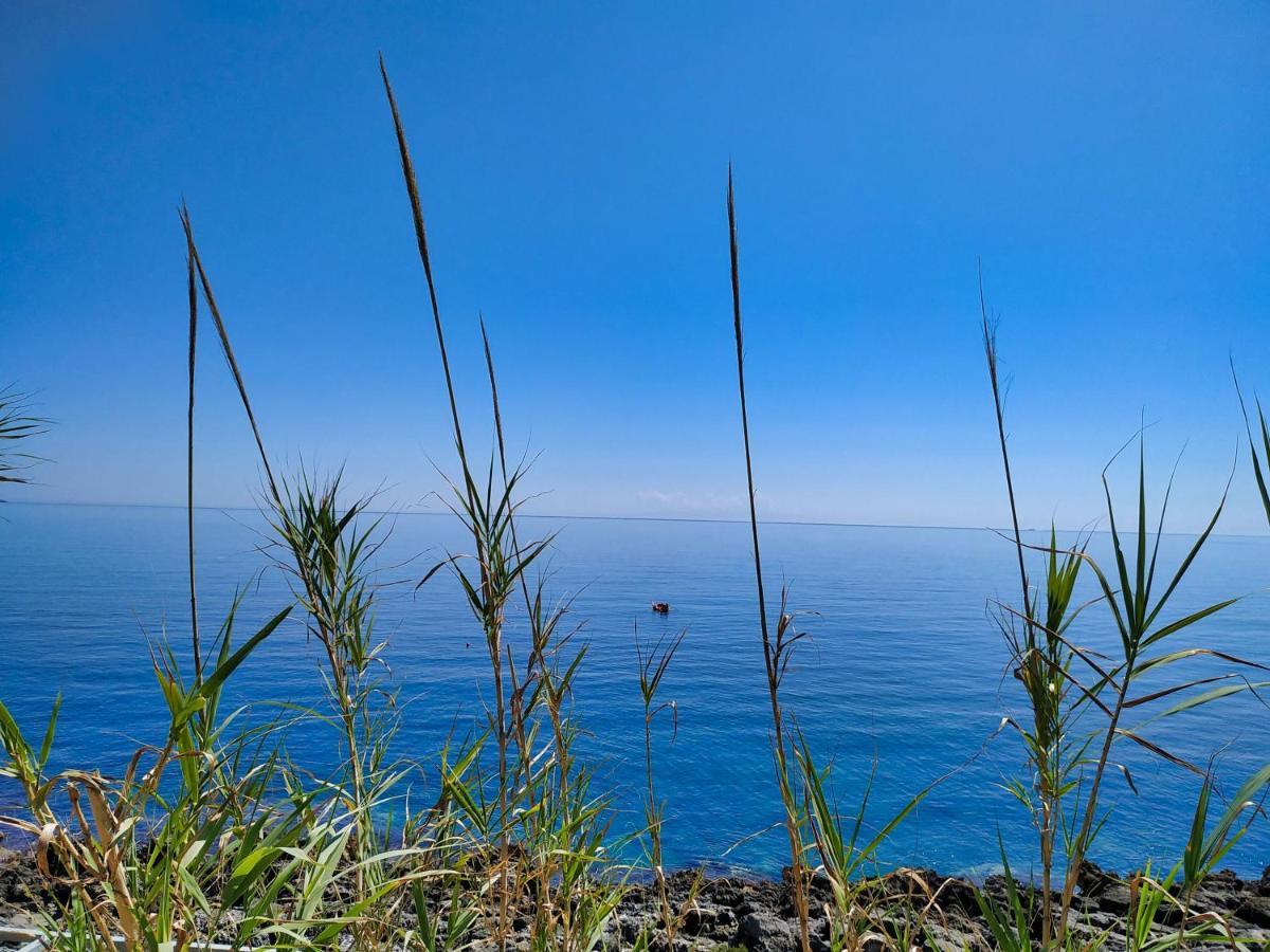 Marina Di Andrano - Alisso, Casa Vista Mare Con Parcheggio Privato E Wifi Villa Exteriör bild