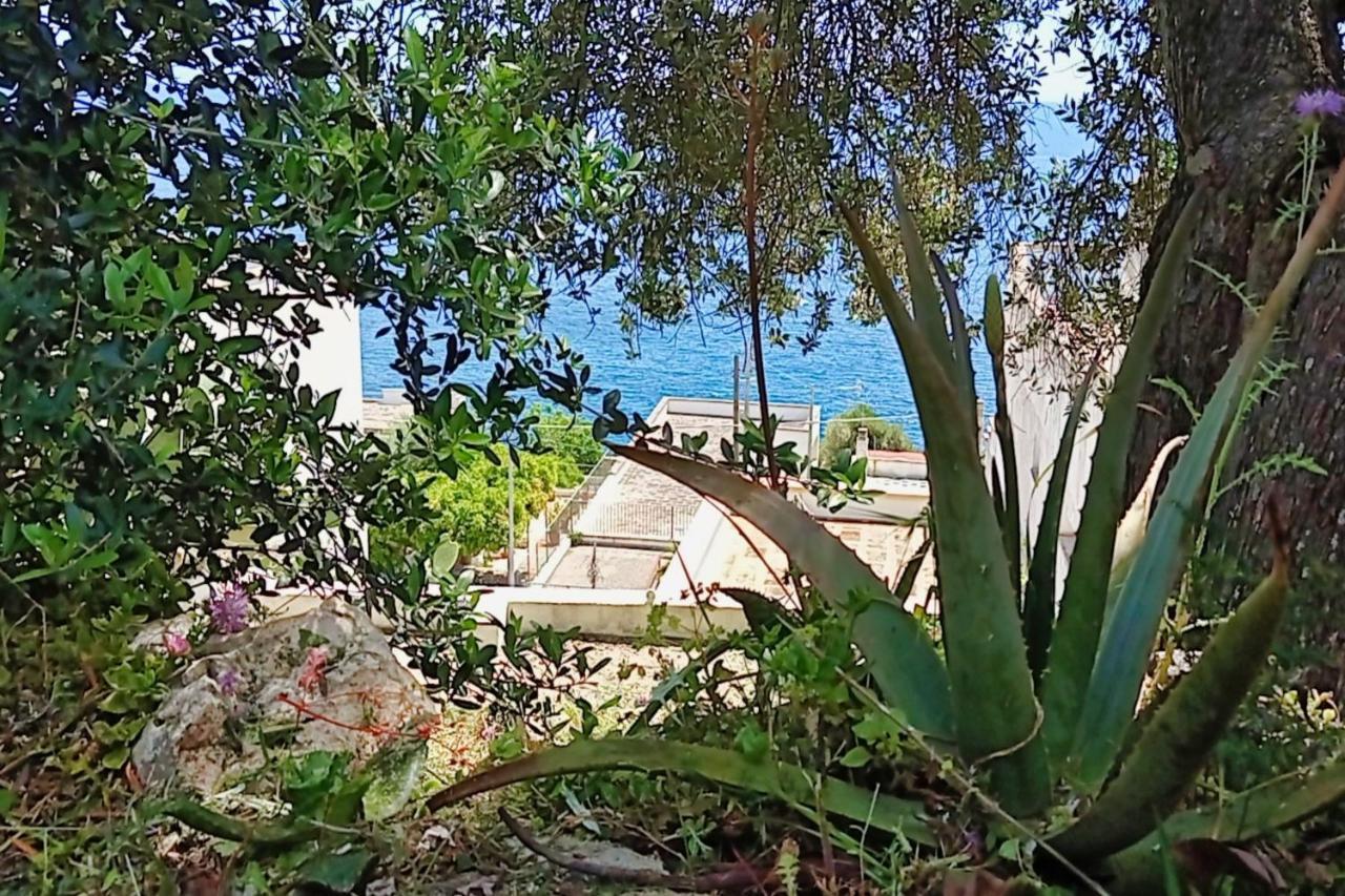 Marina Di Andrano - Alisso, Casa Vista Mare Con Parcheggio Privato E Wifi Villa Exteriör bild